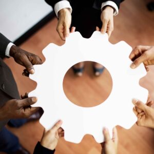 Master Black Belt (Lean Six Sigma)
